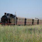 Treno a vapore vintage attraversa un campo verde sotto un cielo azzurro, simbolo di storia e nostalgia ferroviaria.